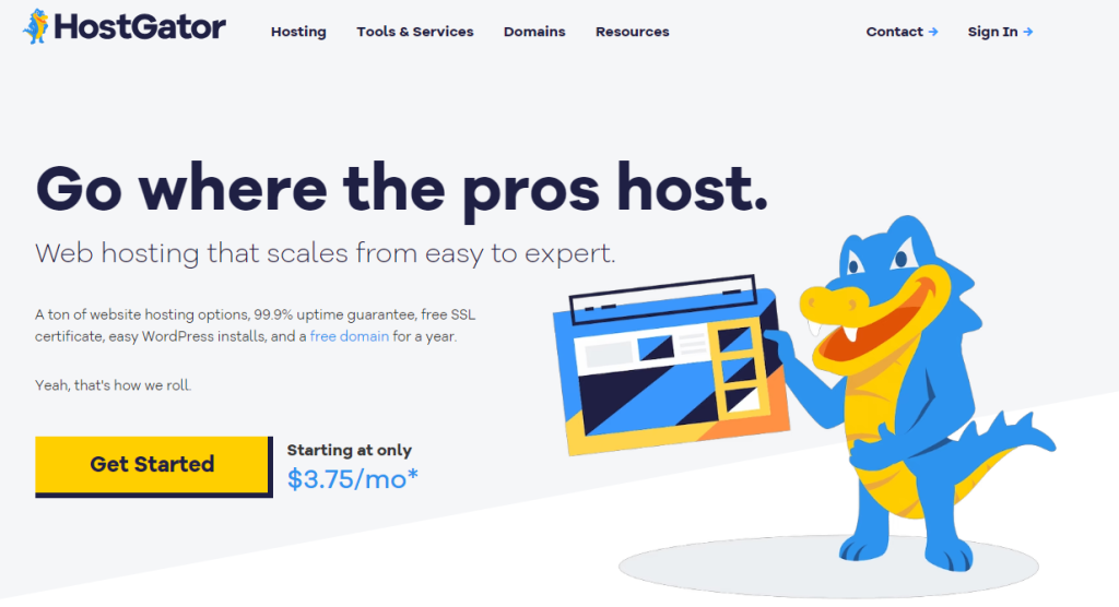 HostGator: The Most Economical Option for New Businesses